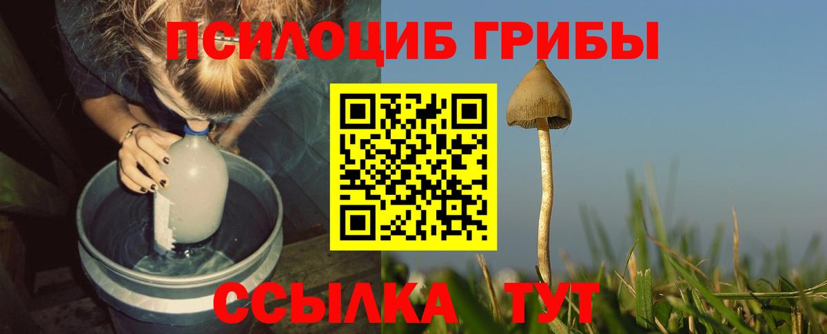 Псилоцибиновые грибы MAGIC MUSHROOMS  Вход с VPN  Псилоцибиновые грибы ЛСД  Вышний Волочёк 